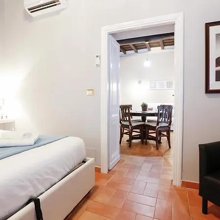Apartment Domizio *